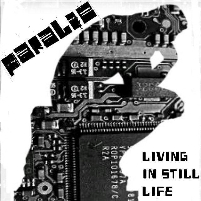 Living in Still Life