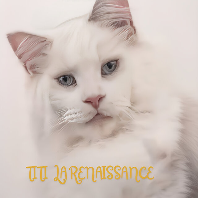 Titi la renaissance
