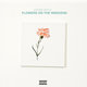 Cover art for album Flowers On The Weekend by Asher Roth