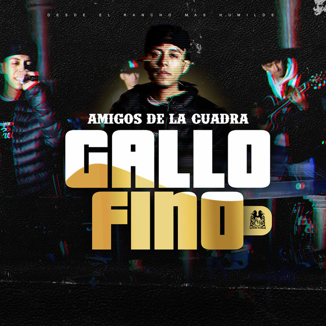 Gallo Fino