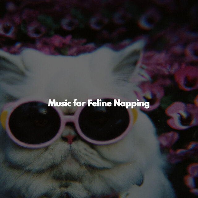 Music for Feline Napping
