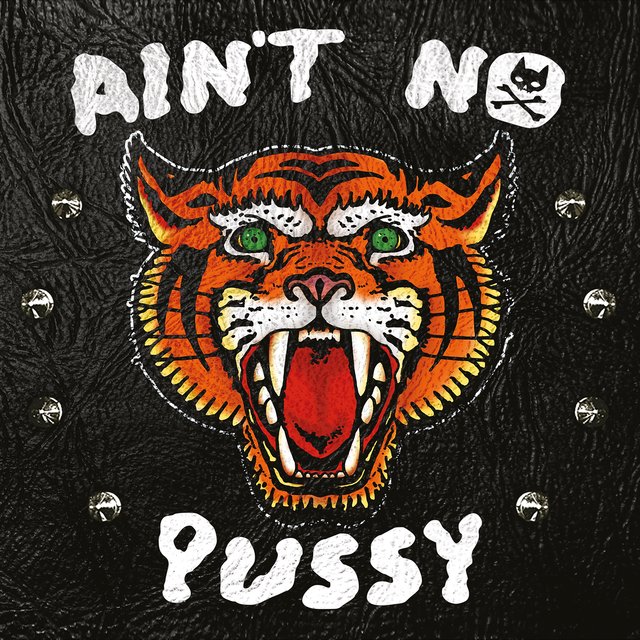 Ain't No Pussy