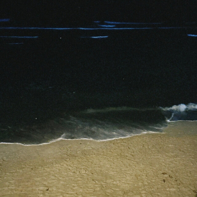Una Noche En La Playa