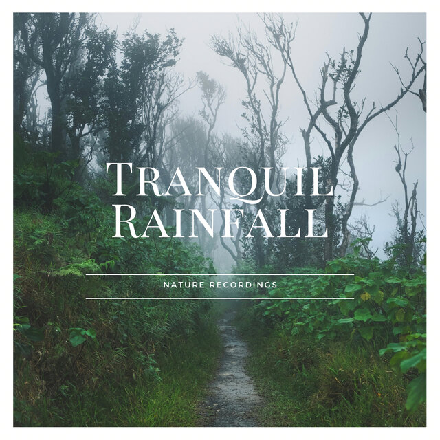 Tranquil Rainfall