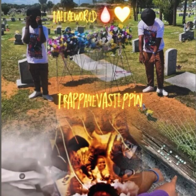 Tae Tae World