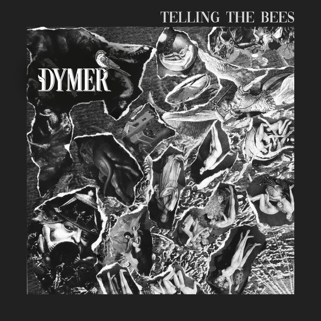 Telling The Bees