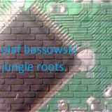 Jungle Roots