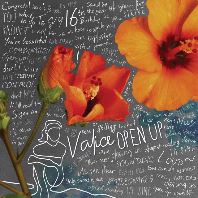Open Up