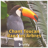 Toucan parler