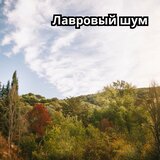 Прохлада вечера