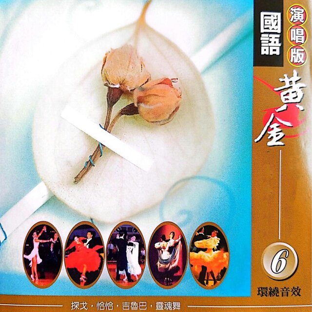 黄金珍藏舞曲 Vol.6