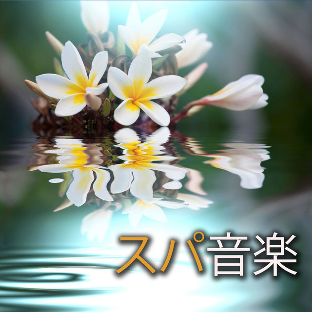スパ音楽 ~ スパ リラクゼーション