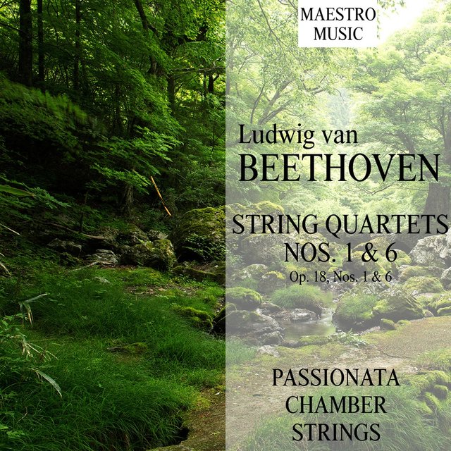 Beethoven: String Quartets Nos. 1 & 6
