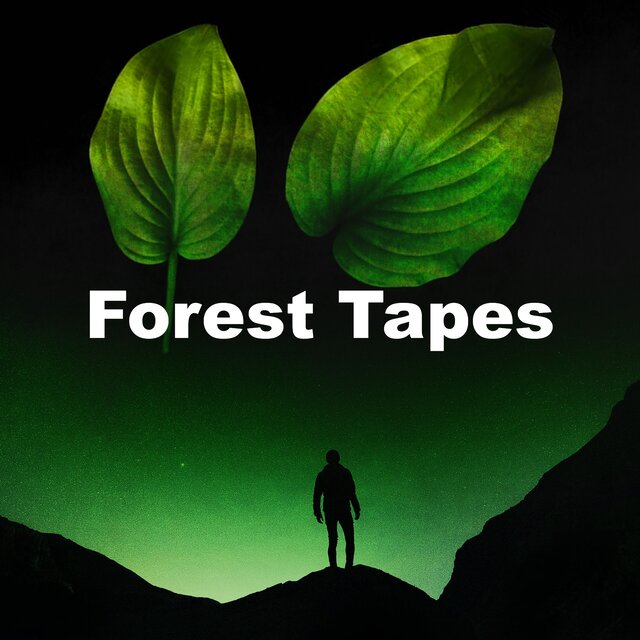 Forest Tapes
