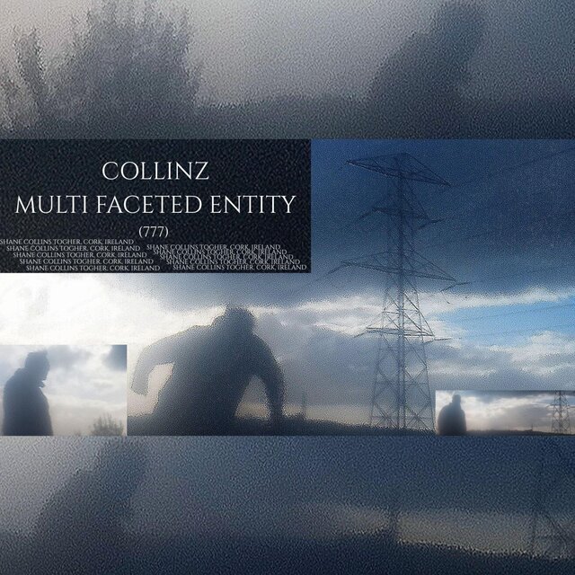 Multi Faceted Entity (777)