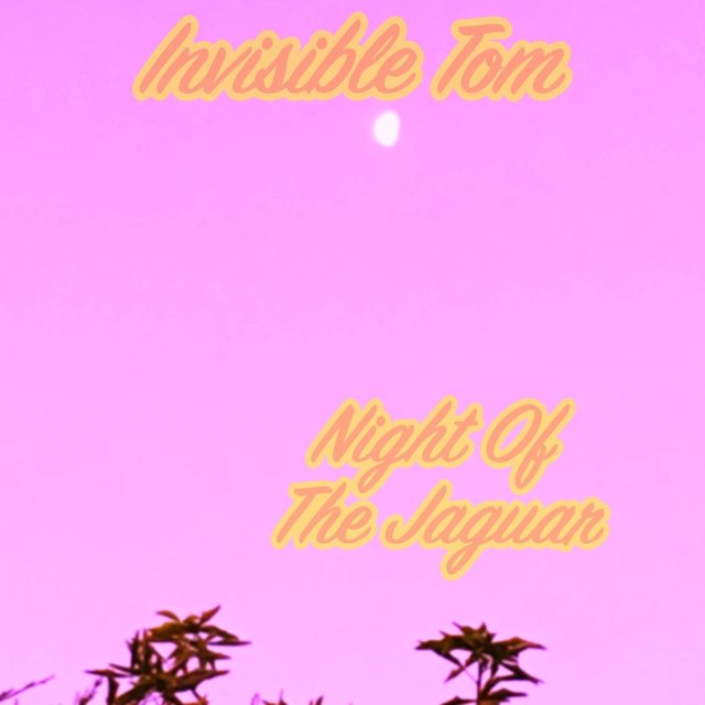 Night Of The Jaguar