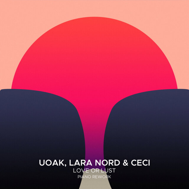 Love or Lust (Piano Rework)