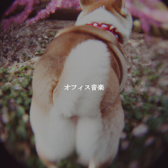 オフィス音楽