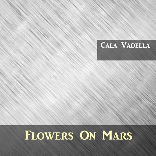 Cala Vadella