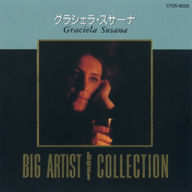 Big Artist Best Collection
