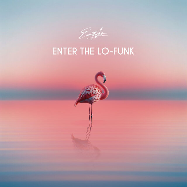 Enter The Lo-Funk