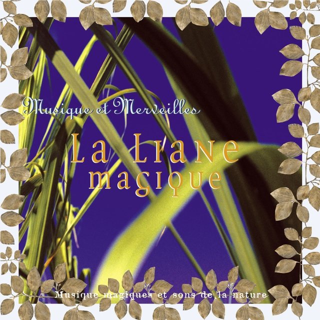 Musique et merveilles: la liane magique