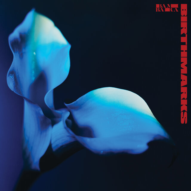 Cover art for album Birthmarks by BAMBARA