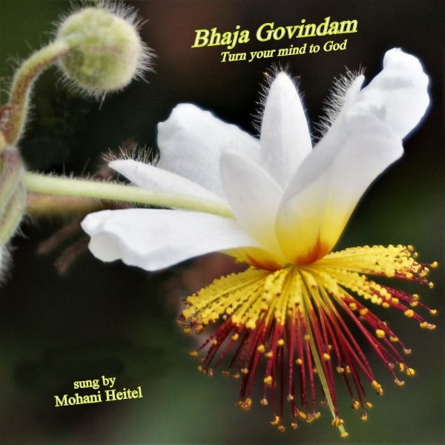 Bhaja Govindam: Turn Your Mind to God