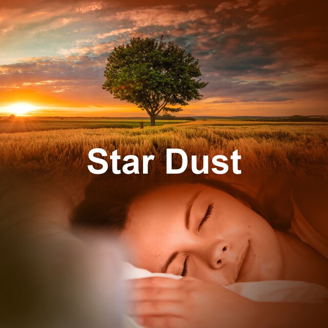 Star Dust