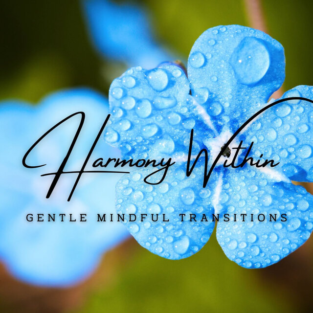 Clarity and Concentration: Meditative Melodies for Focus