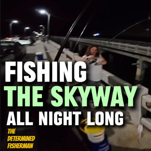 Fishing The Skyway All Night Long