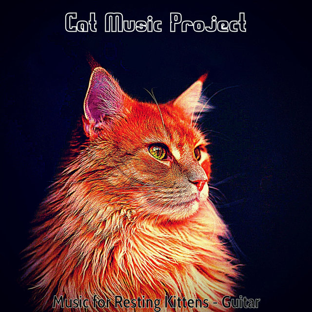 Music for Resting Kittens - Guitar