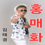 홍매화 (MR)