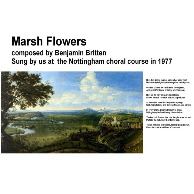 Nottingham summer course 1977 britten flower songs - marsh flowers