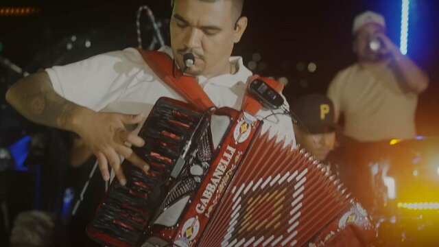 Gallo Fino (En Vivo)