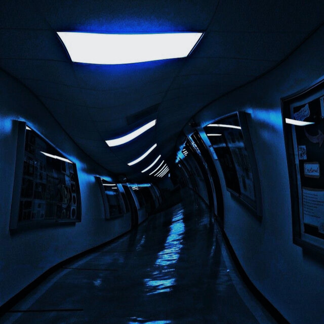 Liquid