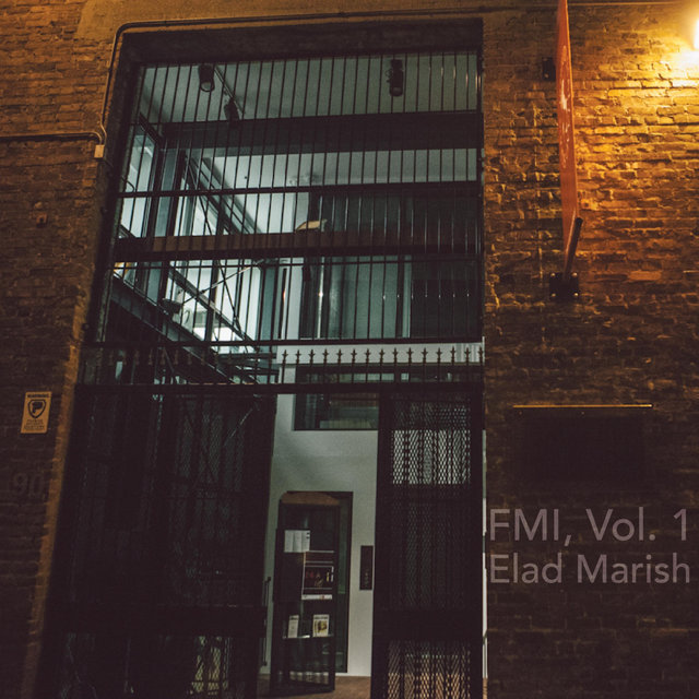 FMI, Vol. 1