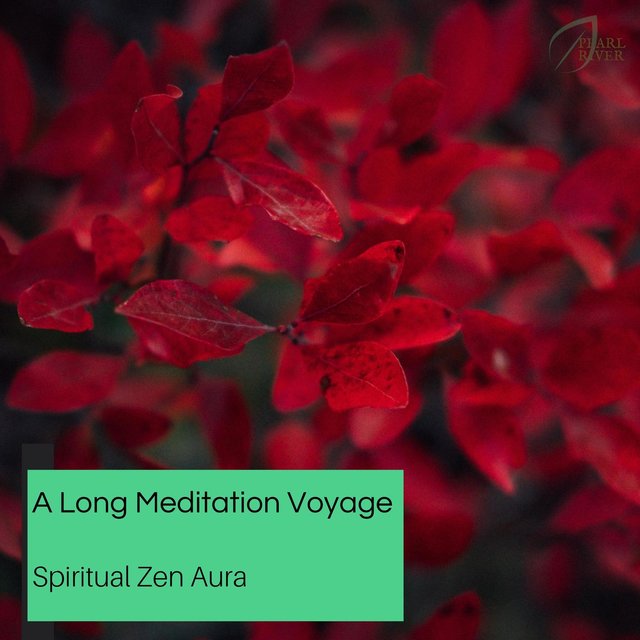 A Long Meditation Voyage - Spiritual Zen Aura
