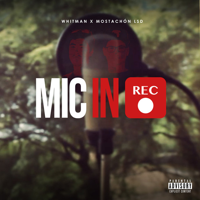 Mic in Rec