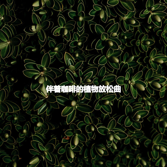 伴着咖啡的植物放松曲