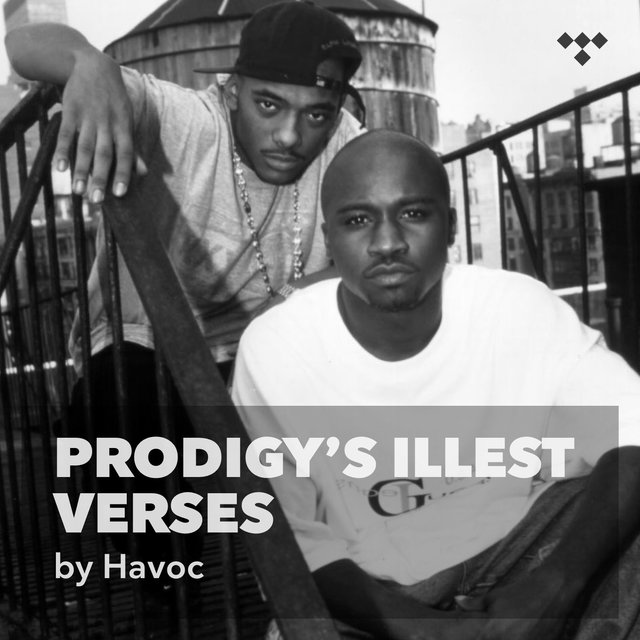 Havoc: Illest Prodigy Verses