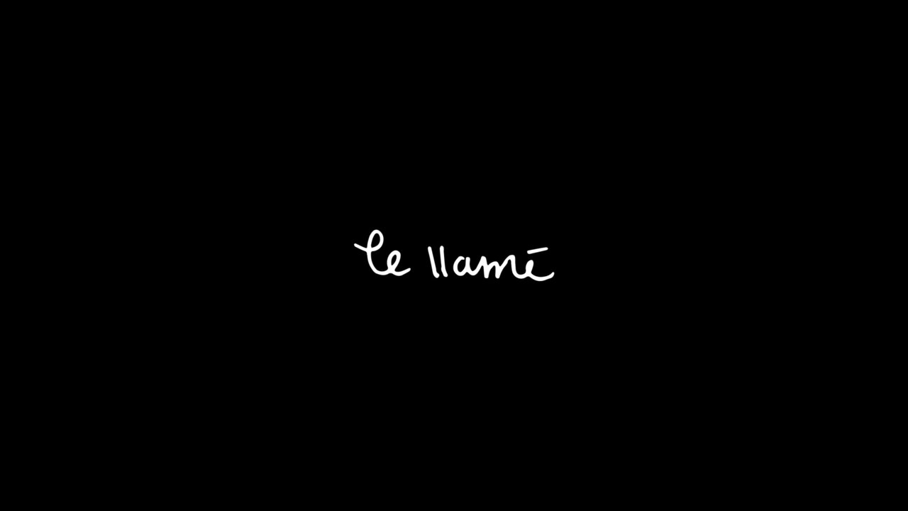 Te Llamé