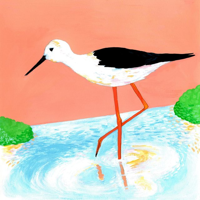 Cover art for album  by Woody Goss