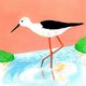 Cover art for album Black-winged Stilt (feat. Secret Bad Boy) by Woody Goss