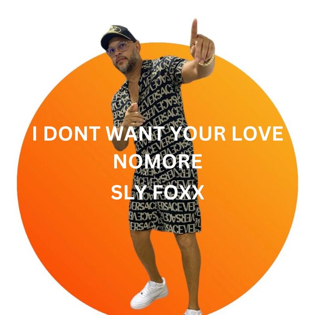 I Dont Want Your Love No More