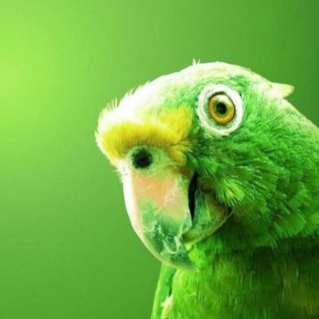 loro