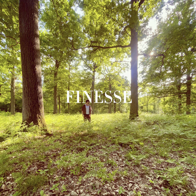 Finesse