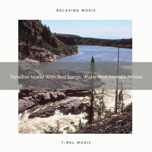 Paradise Island With Bird Songs, Water And Animals Noises