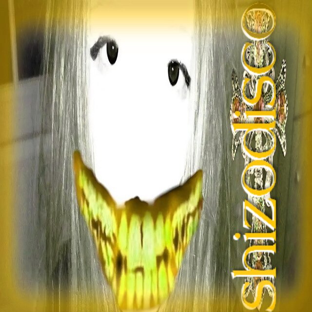 shizodisco (ultra slowed)
