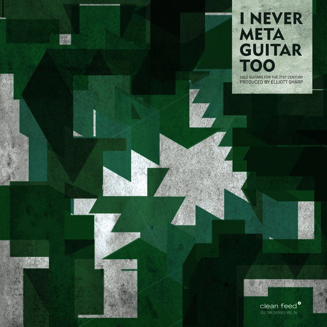 Cover art for album I Never Metaguitar Too... by Various Artists